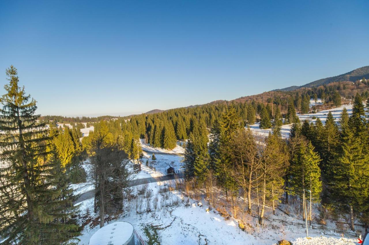 Forest Corner In Silver Mountain Of Пояна-Брашов Екстер'єр фото