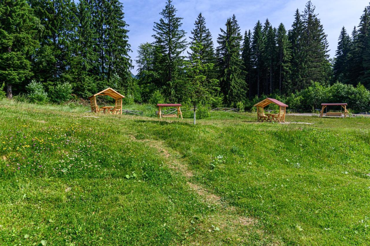 Forest Corner In Silver Mountain Of Пояна-Брашов Екстер'єр фото